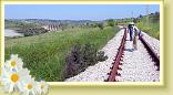 138 Lungo la ferrovia dismessa Taranto - Bari (4K)