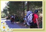 144 Lungo la Pineta a monte della Gravina di Piscinella (Cas (5K)