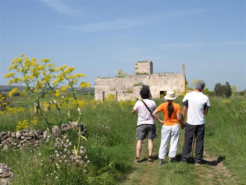 P5020225-(Medium).jpg - Masseria San Pietro
