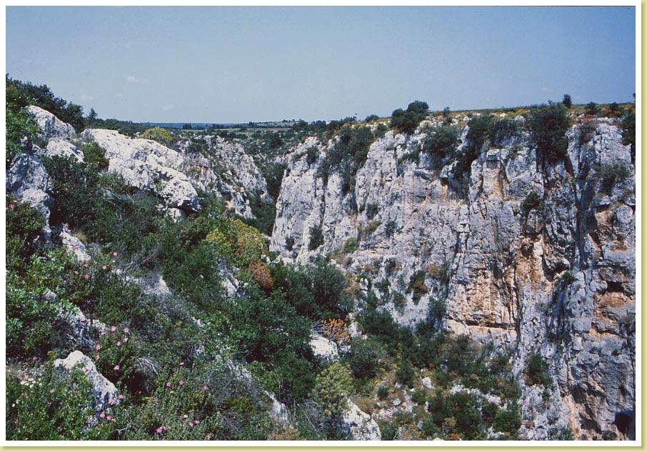 Amastuola
