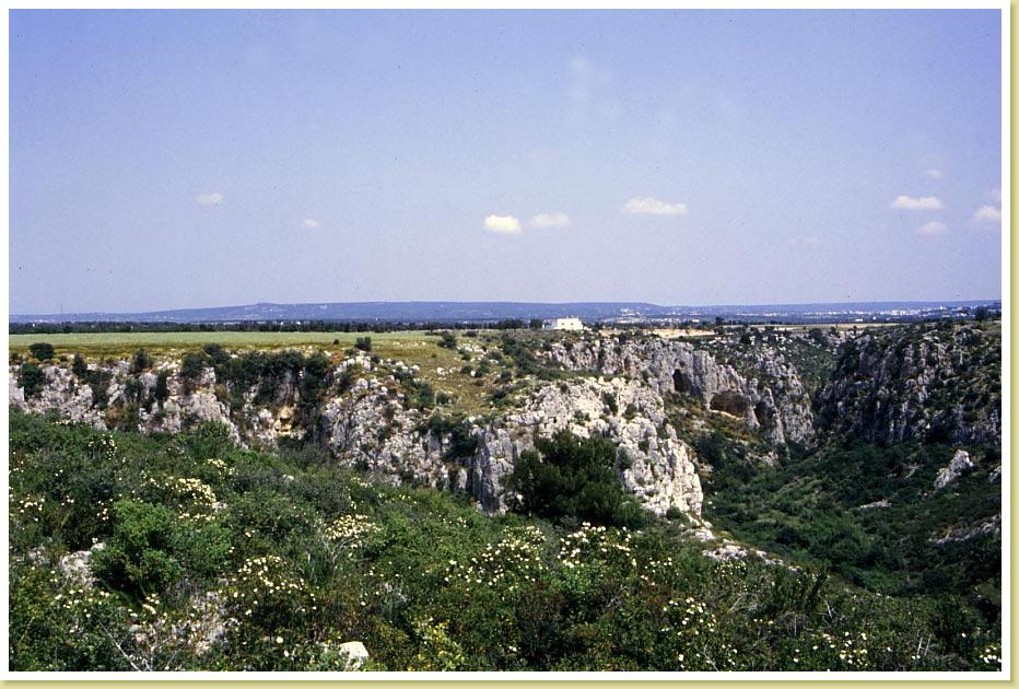 Amastuola2