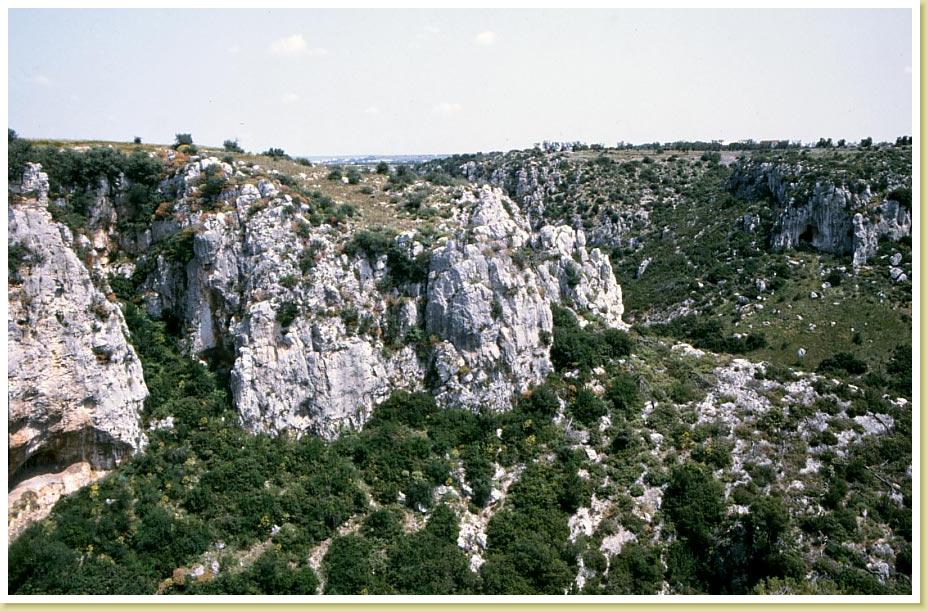 Amastuola5