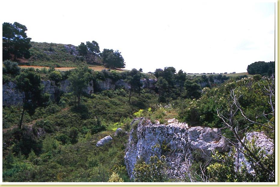 Amastuola6