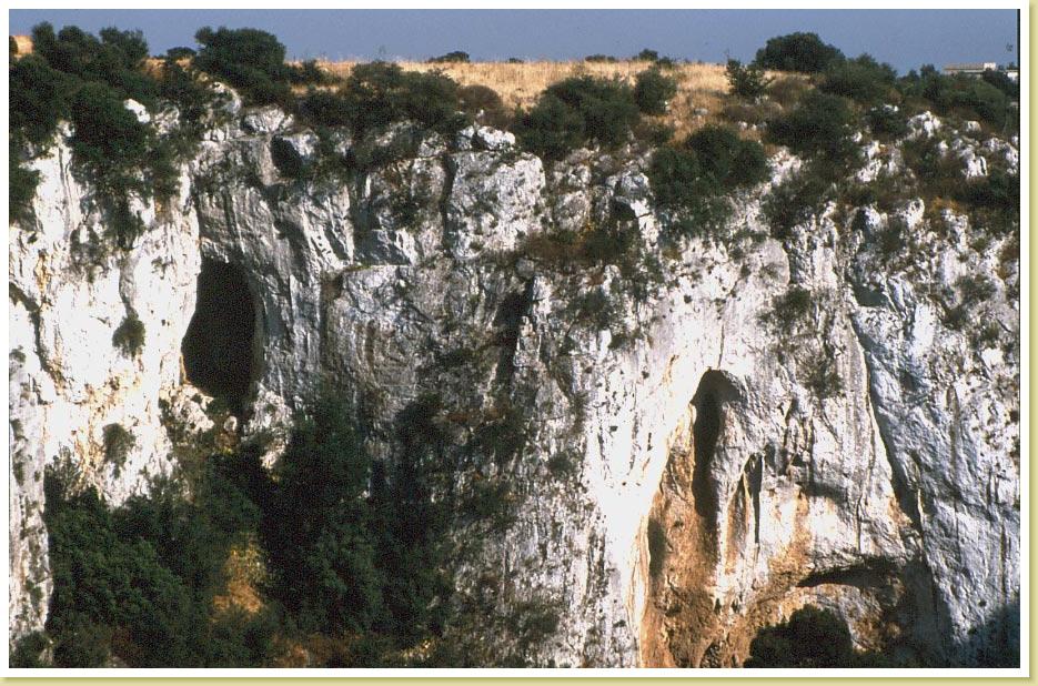 Amastuola7
