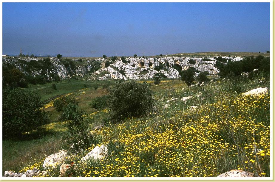 Ayedda1