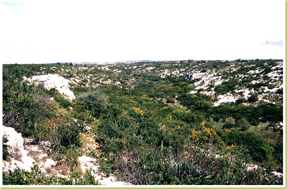 Lamie-Caselle1
