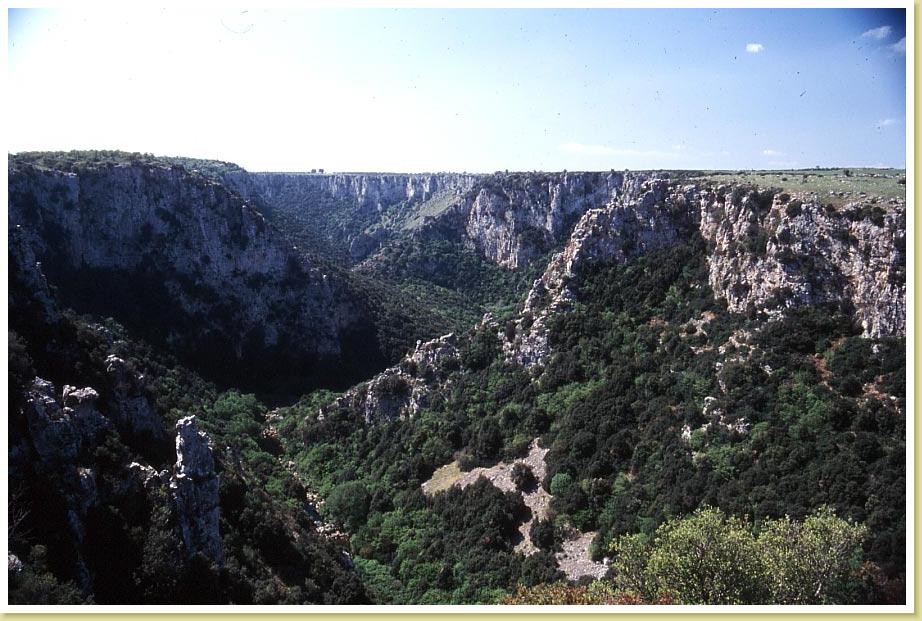 Laterza9