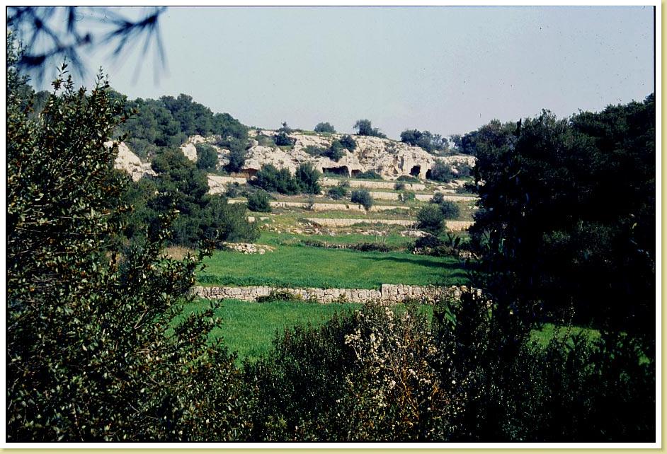 Mazzaracchio
