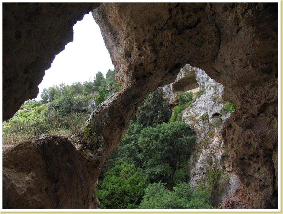 Montemesola8