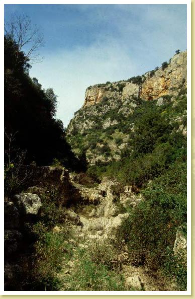 Palagianello
