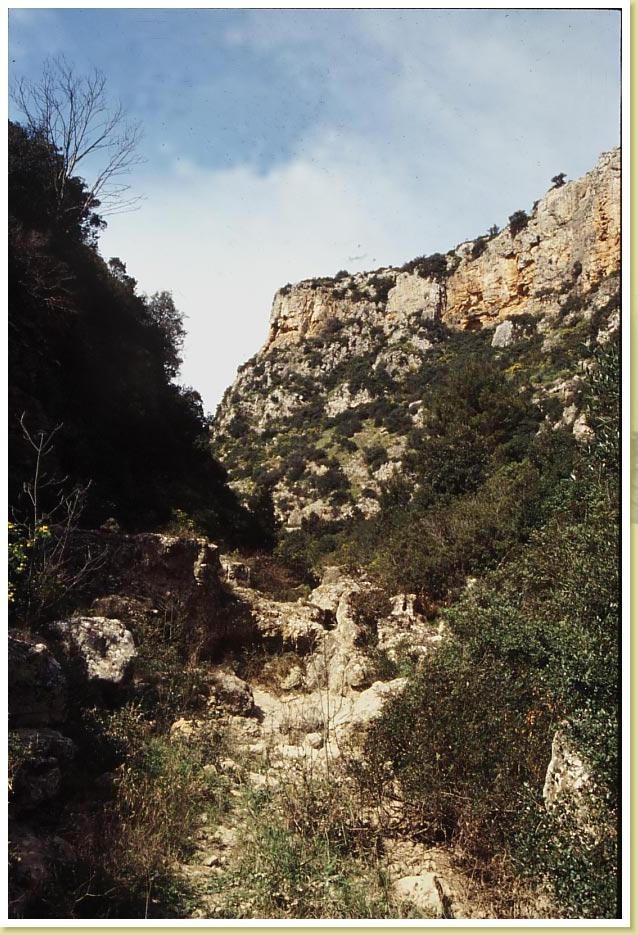 Palagianello15