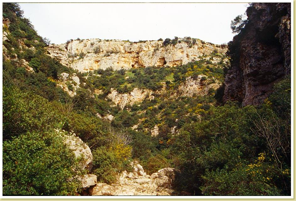 Palagianello3