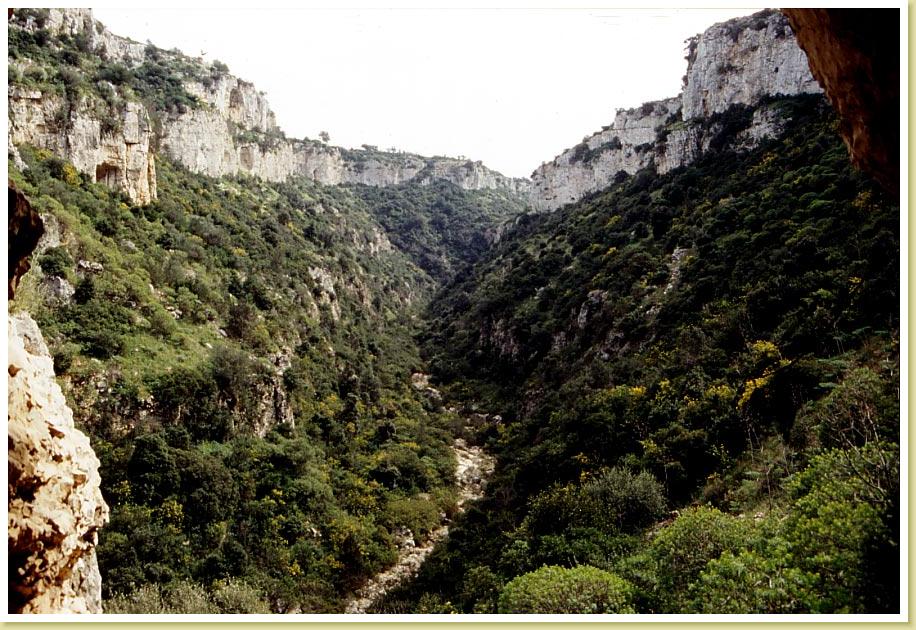 Palagianello6