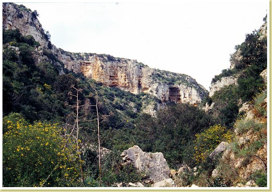 Palagianello8