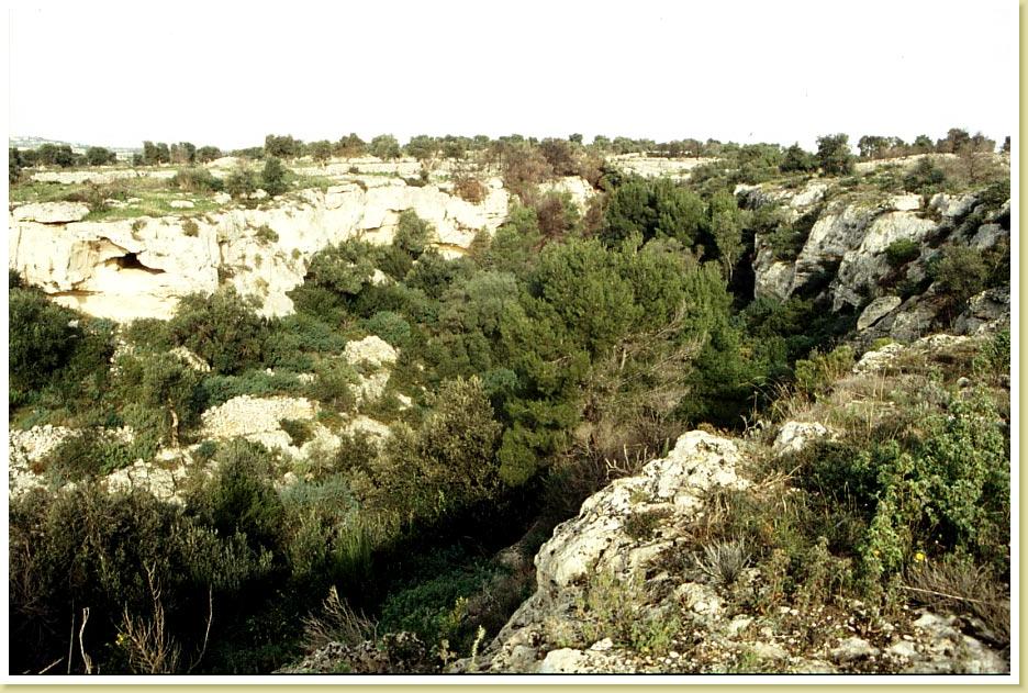 Palombaro