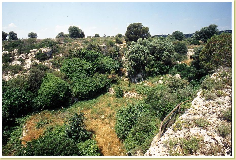 SantaMargherita
