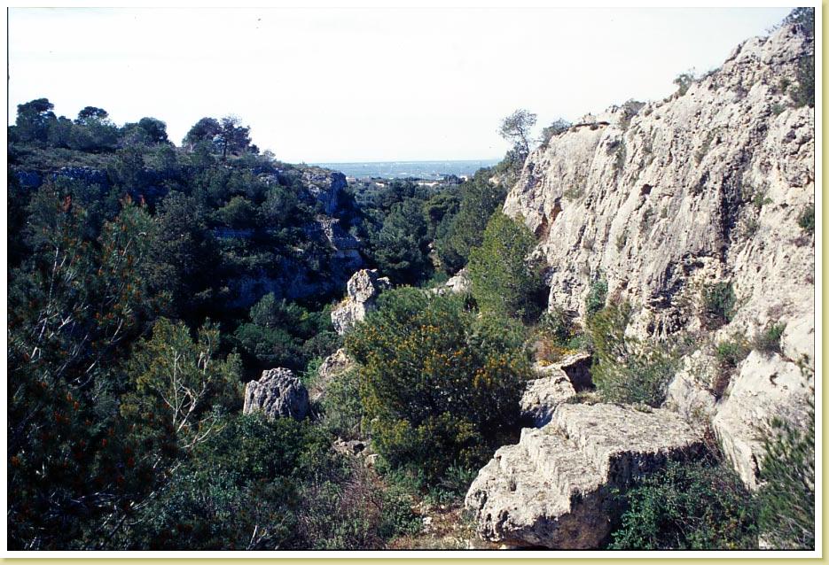 Trovanza1