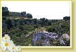 Amastuola6