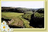 Castellaneta8