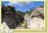 Cigliano0024