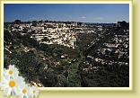 Colombato
