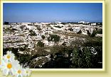 Fullonese