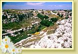 Fullonese10