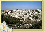 Fullonese3