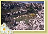 Fullonese5