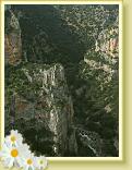 Laterza08