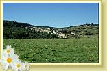 MOntemesola