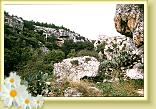 Montemsola