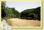 Pilano