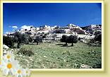 Riggio17