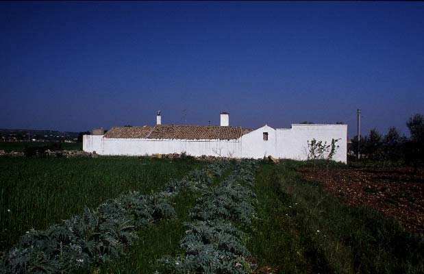 Masseria Carucci