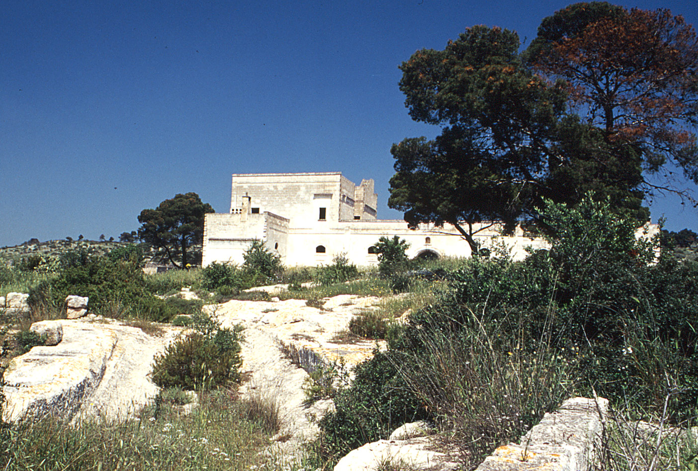 Masseria Colombato Nuova