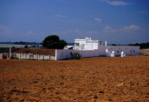 Masseria Gennarini 