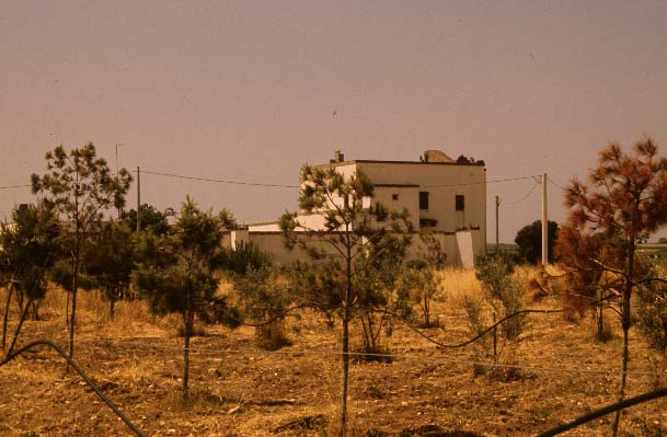 Masseria lu Monte