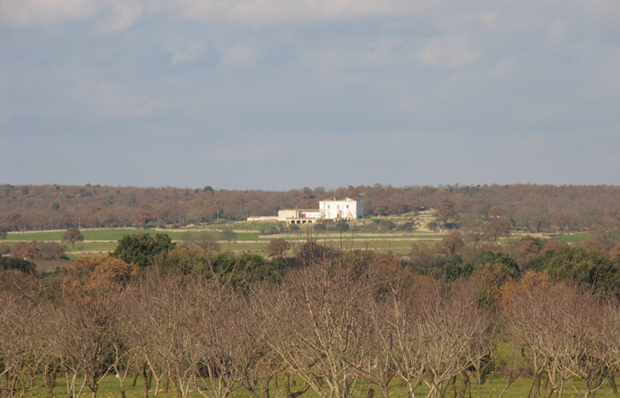 Masseria S(c)acchiemme