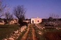 Masseria Ruina