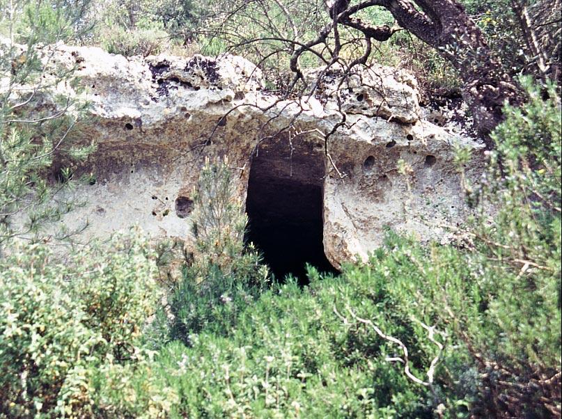 Crispiano-Alezza3.jpg - Crispiano Gravina dell'Alezza