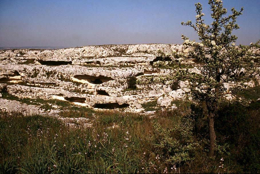 Grottaglie-Penziero02.jpg - Grottaglie- Gravina di Penziero