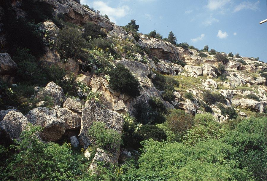 Massafra-MadonnaScala13.jpg - Massafra Gravina Madonna della Scala
