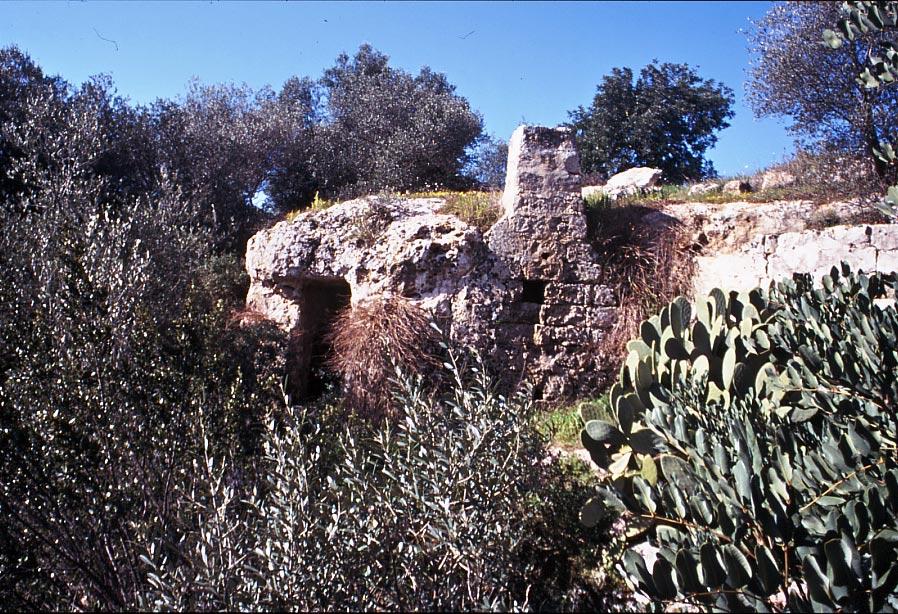 Statte-Todisco8.jpg - Statte Insediamento della gravina di Mazzaracchio (Masseria Todisco)