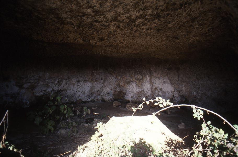 grottaglie-lonoce18.jpg - Grottaglie- Lonoce