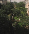 Santa Maria in Campitelli (Grottaglie)