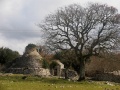 Masseria Piccoli (Massafra)