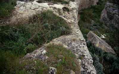Antico-Statte4-5°Lama (11K)
