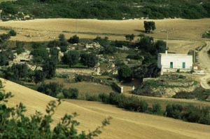 casale-PorcileCigliano1.jpg (22K)