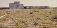 grano-Manduria_Maserinò.jpg (9K)